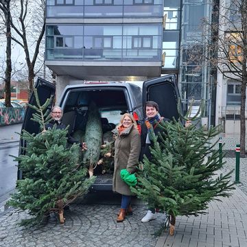 Foto: Jürgen Kutter, Patricia Palmers-Morell (Fachbereich Wirtschaftsförderung, Tourismus) und Bürgermeister Mario Dahm mit Weihnachtsbäumen vor dem Hennefer Rathaus
