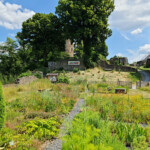 Blick über die Burganlage