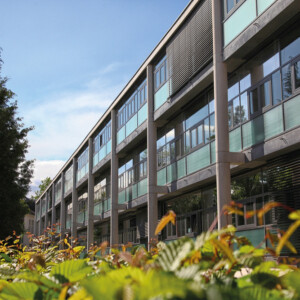 Rathaus der Stadt Hennef, Neubau
