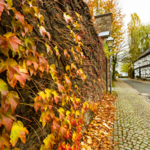 Klostermauer in Hennef Bödingen