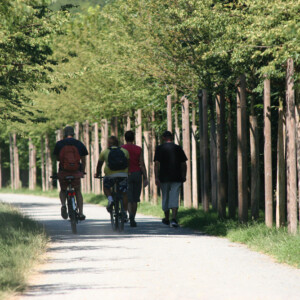 Siegpromenade im Zentrum