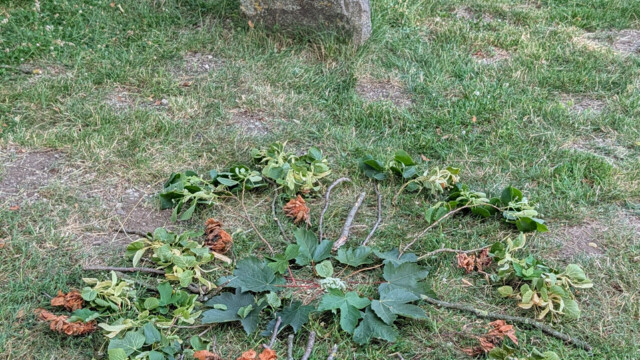 Von Kindern bei der Vernissage gestaltet: Naturmandala